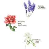 İlk El Grup Kolonya Pet Şişe Sprey 150 ml Lavanta - Renkli
