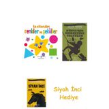İlk Kitaplığım - Renkler Ve Şekiller (Ciltli) + Dünyanın Merkezine Yolculuk + Siyah İnci Hediye