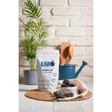İlka Gıda Kudüs Hurması Large 250 g – Doğal, Etli, Yumuşak Atıştırmalık | İLKA - 250 gr