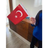 İlkim Saplı Kağıt Türk Bayrağı 10 Adet 13x21 Ebatlarında
