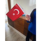 İlkim Türk Bayrağı Kağıt 100 Adet 13X21 Ebatlarında
