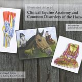 Illustrated Atlas of Clinical Equine Anatomy and Common Disorders of the Horse (Vol 1) 1st edition by Riegel, Ronald (2004) Spiral-bound