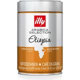 illy Çekirdek Kahve Etiyopya 250 gr Dengeli Lezzet ve Portakal Aromasıyla Taze Kahve