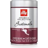 Illy Guatemala Çekirdek Kahve 250G Yumuşak Lezzet ve Çikolata Notalarıyla Özel Menşeli - 250 gr