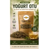 İLMİ ŞİFA Yoğurt Otu (Sarı Yoğurt Otu – Galium verum – Lady’s Bedstraw) Doğal Kurutulmuş Bitki Çayı 50 gr