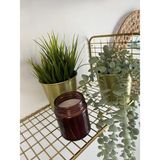 İly Store Horizon Candles Kahverengi Kavanoz Marine Kokulu Mum (1 Adet) - Marine Kokusu