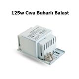 İmaj 125W Cıva Buharlı Balast - yok - Beyaz