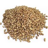 İmam Çağdaş Tuzlu Antep Fıstığı 500 gr - 500 Gram