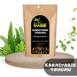 İmge Aktar 100 gr Karnıyarık Tohumu