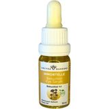 Immortelle Bakuchiol Eye Serum (BAKUCHIOL İÇEREN ÖLMEZÇİÇEK GÖZ BAKIM SERUMU) 10ml