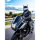 İn3dex Kask Boynuzu Büyük Boy Premium 2 Adet Motosiklet Dekoratif Aksesuarı 23CM - PAKET