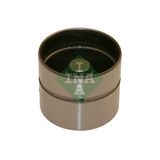 Ina INA-420011810 Subap Fincanı Astraf-G 94- -Corsab-C-Vectra...