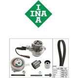 Ina Triger Set Pompa Caddy 4 Golf 6-7 Jetta T6 B8 Tiguan Skoda Leon A1 A3 A4 A5 A6 Q3 Q5 1,6/2,0 Tdi 530065030