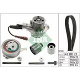 Ina Triger Seti + Soketli Devirdaim Golf7 / A3 / Leon / Passat / Tiguan / Caddy / Transporter T6 13=> Cl