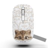 Inca Iwm - 242K Bluetooth+Wireless Double Mod Rechargeable Cat Patterned Silent Mouse