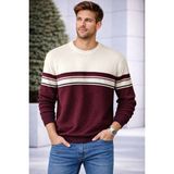 İnce Moda Giyim Çizgi Detaylı Bisiklet Yaka Erkek Triko Kazak – Bordo & Gri - Bordo-Ekru - XL