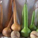 İnce Uzun Sarı Süs(Su) Kabağı Tohumu (5 tohum)