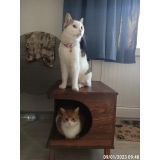 inci mobilya ahşap ahşap kedi evi kedi yatağı kedi kulubesi yatak hediyeli kestane