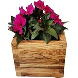 İnci Mobilya Ahşap Ahşap Saksı Zeytin Ağacı 20x20x20 Cm.