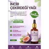 İncir Çekirdeği Yağı (Ficus Carica) – Soğuk Sıkım / 50 Ml