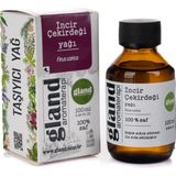 Incir Çekirdeği(Ficus Carica) Yağı 100ml