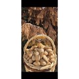 İncirci Amca Badem Iri Boy (Dişle Kırılan) 500 Gram