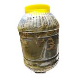 İncirci Amca Salamura Yaprak 3 kg