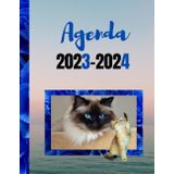 Independently published Agenda 2023-2024: Dans le thème des chats, allant de septembre 2023 à août 2024, 202 pages au total, plages horaires de 7h à 19h, avec illustrations, durant cette nouvelle saison (French Edition)