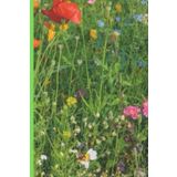 Independently published carnet de notes ligné de jardinage : pour jardinier/jardinière, professionnel ou débutant, pour documenter l'évolution de leur jardin, suivre leurs ... des notes sur leurs projets de jardinage.