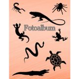 Independently published Fotoalbum Reptilien Kriechtiere Fische Schlangen Eidechsen Geckos Schildkröten Kois Vogelpinnen Skorpione Züchter Buch Aquarium Exoten Terrarium ... Andenken Erinnerungsfotobuch Apricot