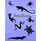 Independently published Fotoalbum Reptilien Kriechtiere Fische Schlangen Eidechsen Geckos Schildkröten Kois Vogelpinnen Skorpione Züchter Buch Aquarium Exoten Terrarium ... Andenken Erinnerungsfotobuch Blau 05