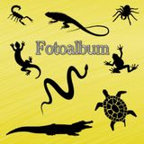 Independently published Fotoalbum Reptilien Kriechtiere Fische Schlangen Eidechsen Geckos Schildkröten Kois Vogelpinnen Skorpione Züchter Buch Aquarium Exoten Terrarium ... Andenken Erinnerungsfotobuch Gelb 01