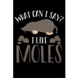 Independently published I like moles: Dot Grid Jounal ToDo Exercise Book or Diary 6" x 9" (15.24 x 22.86 cm) 120 pages