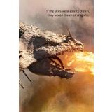 Independently published If the skies were able to dream, they would dream of dragons.: dragon journals for writing paperback /Dragon composition notebook