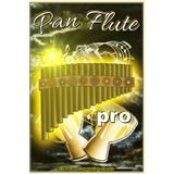 Independently published Pan Flute pro, manuscript paper, 6 x 9 inch, 120 pages, music sheets, gifts for musicians, blank music notebook, music accessories, school music books, For beginners & advanced composers