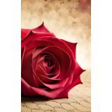 Independently published Red Rose Dot Journal
