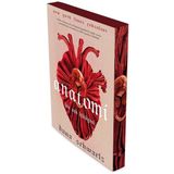 İndigo Kitap Anatomi - Bir Aşk Hikayesi