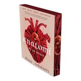 İndigo Kitap Anatomi