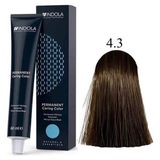 Indola Boya 60ML. 4-3 Kahve Altın