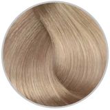 Inebrya 10.1 Blonde Platinum Light Ash 100 ml Saç Boyası