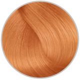 Inebrya 10.42 Light Platinum Cognac Blonde 100 ml Saç Boyası