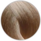 Inebrya 11.1 Superlight Platinum Very Light Ash 100 ml Saç Boyası