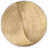 Inebrya Color Keten Tohumu Yağı ve Aloe Vera İçeren 10.0 Blonde Platinum 100 ml Saç Boyası