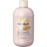 Inebrya Ice Cream Argan Age 300 ml Canlandırıcı Şampuanı