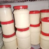 Inek Tam Yağlı bidon basma peynir 1kg - 1 kg