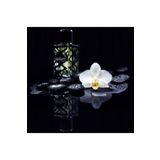 INFINITE LOVE Erkek Parfüm Edp Hugo Boss Hugo-hugo / Hugo Boos-aromatik 50 Ml. E13