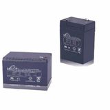 Inform Leoch 9AH -12 V Akü