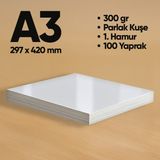 Informal Fotokopi Kağıdı Premium Kalite A3 300 gr Parlak Kuşe 100 Yaprak 1. Hamur