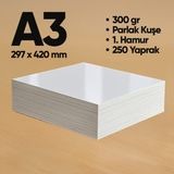 Informal Fotokopi Kağıdı Premium Kalite A3 300 gr Parlak Kuşe 250 Yaprak 1. Hamur