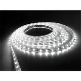 Informed 3 Çipli Şerit LED Iç Mekan 5 Metre ( Trafo Hariçtir ) - 6500K - Beyaz Işık